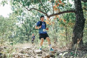 BIB: 
                            <button type="button" onclick="openModal(26108417)" class="btn btn-primary btn-sm float-right btn-popup" data-toggle="modal" data-target=".modal-high-quality">
                        <i class="fas fa-shopping-cart"></i> Add to Cart
                    </button>
                                            <button type="button" onclick="isThisMe(26108417, true)" class="btn btn-success btn-sm float-right btn-popup btn-isme hidden" data-toggle="tooltip" data-placement="bottom" title="นี่คือรูปของคุณใช่ไหม คลิกที่นี่เพื่อเอาเข้าอัลบั้ม">
                        <i class="fas fa-plus"></i> Add to album
                    </button>
                    <button type="button" onclick="isThisMe(26108417, false)" class="btn btn-warning btn-sm float-right btn-popup btn-isnotme hidden">
                        <i class="fas fa-ban"></i> Remove from album
                    </button>